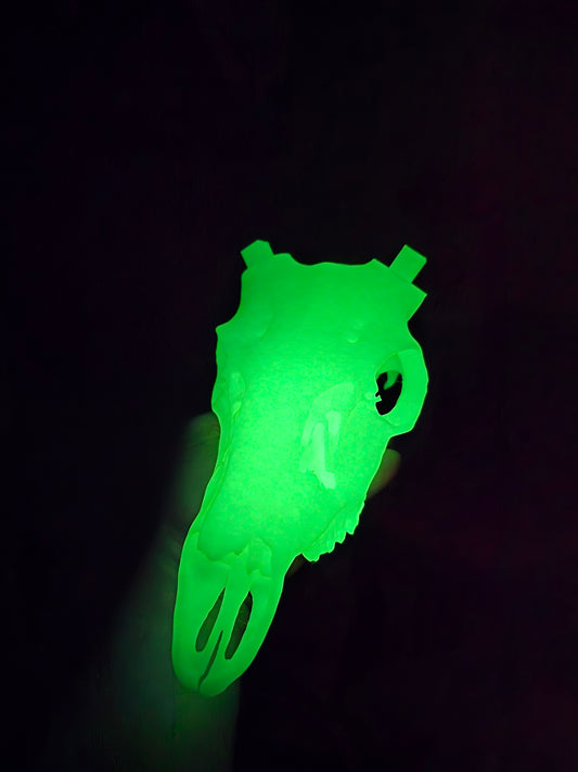 Réplique tête de WHITETALL (cerf de virginie)